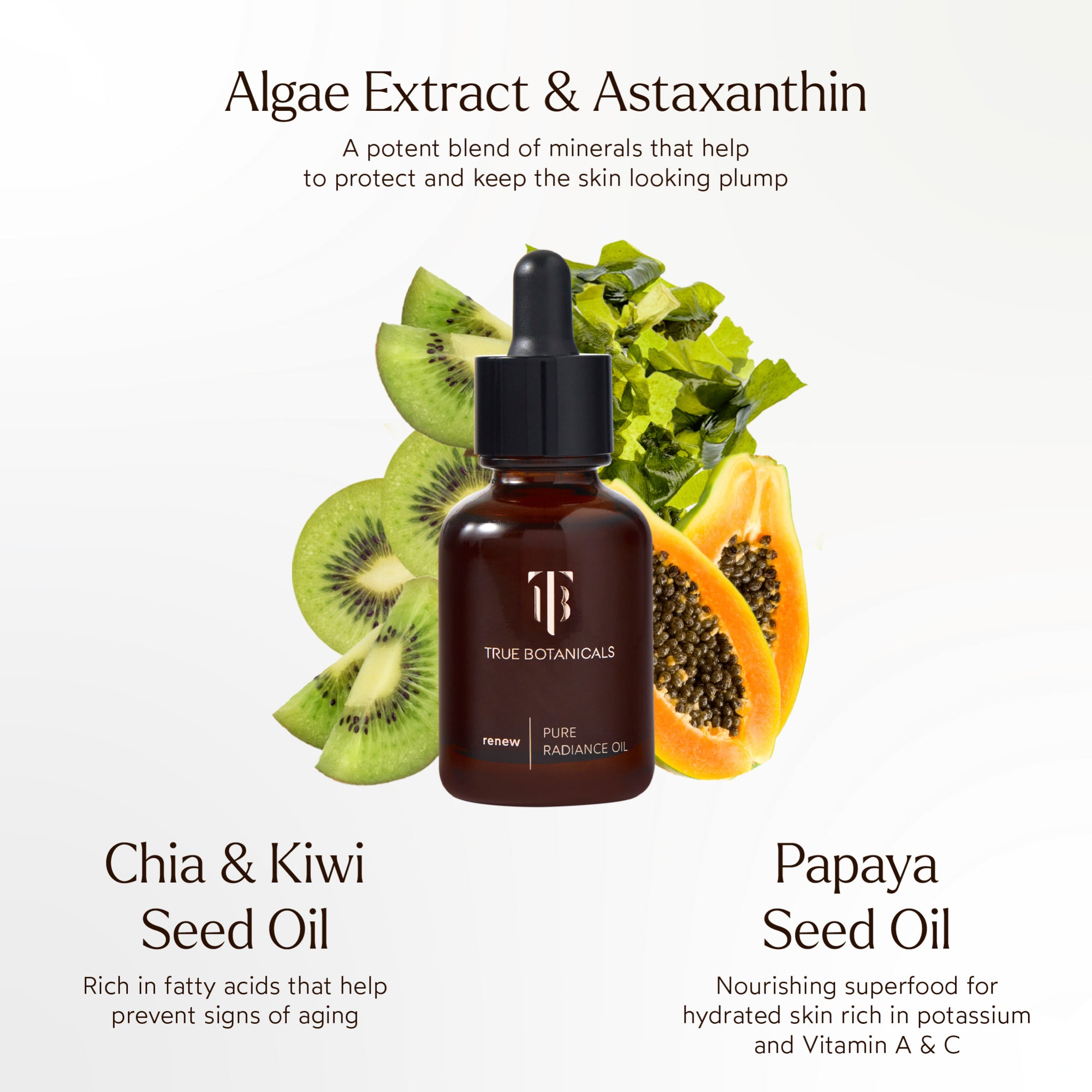 Renew Pure Radiance Oil