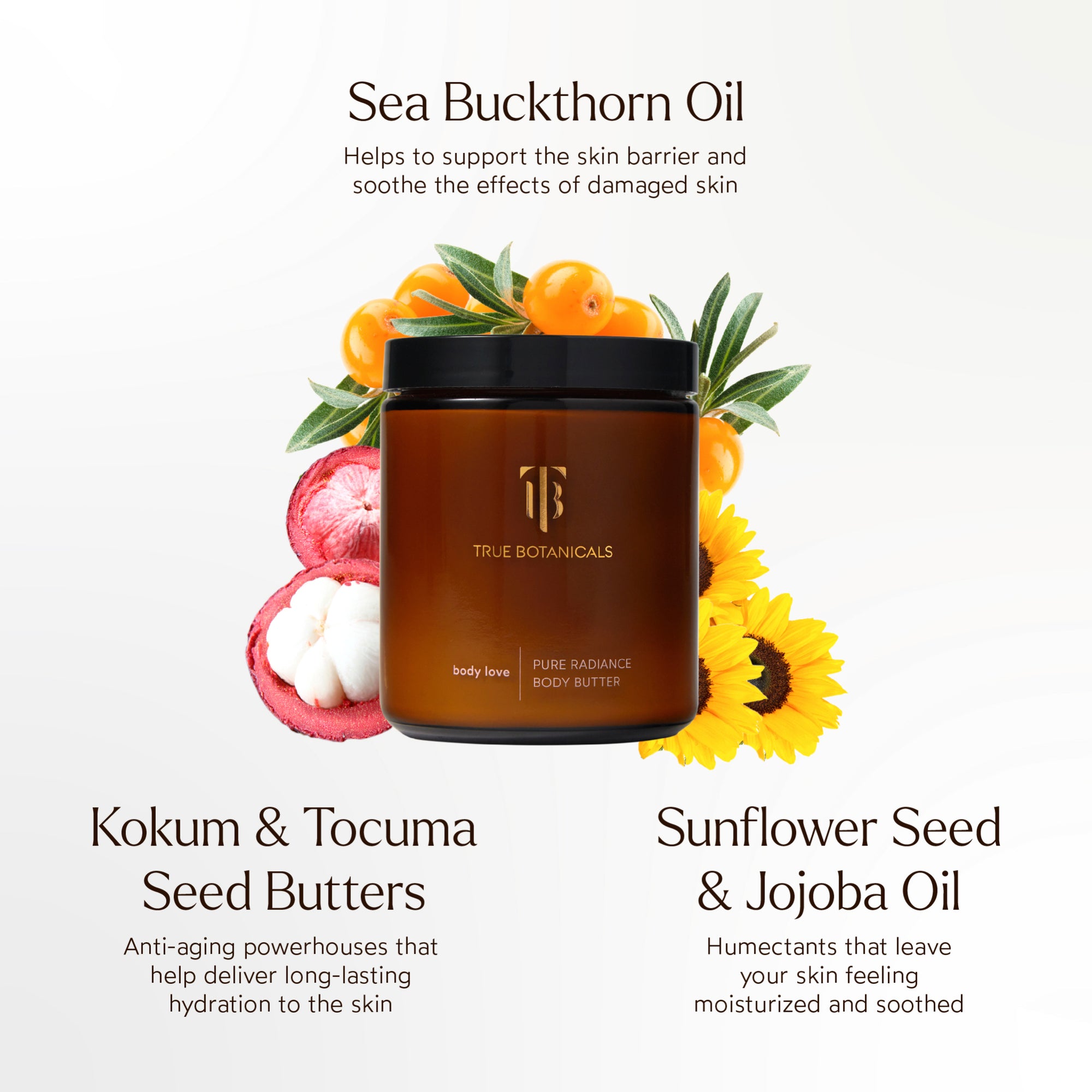 Pure Radiance Body Butter