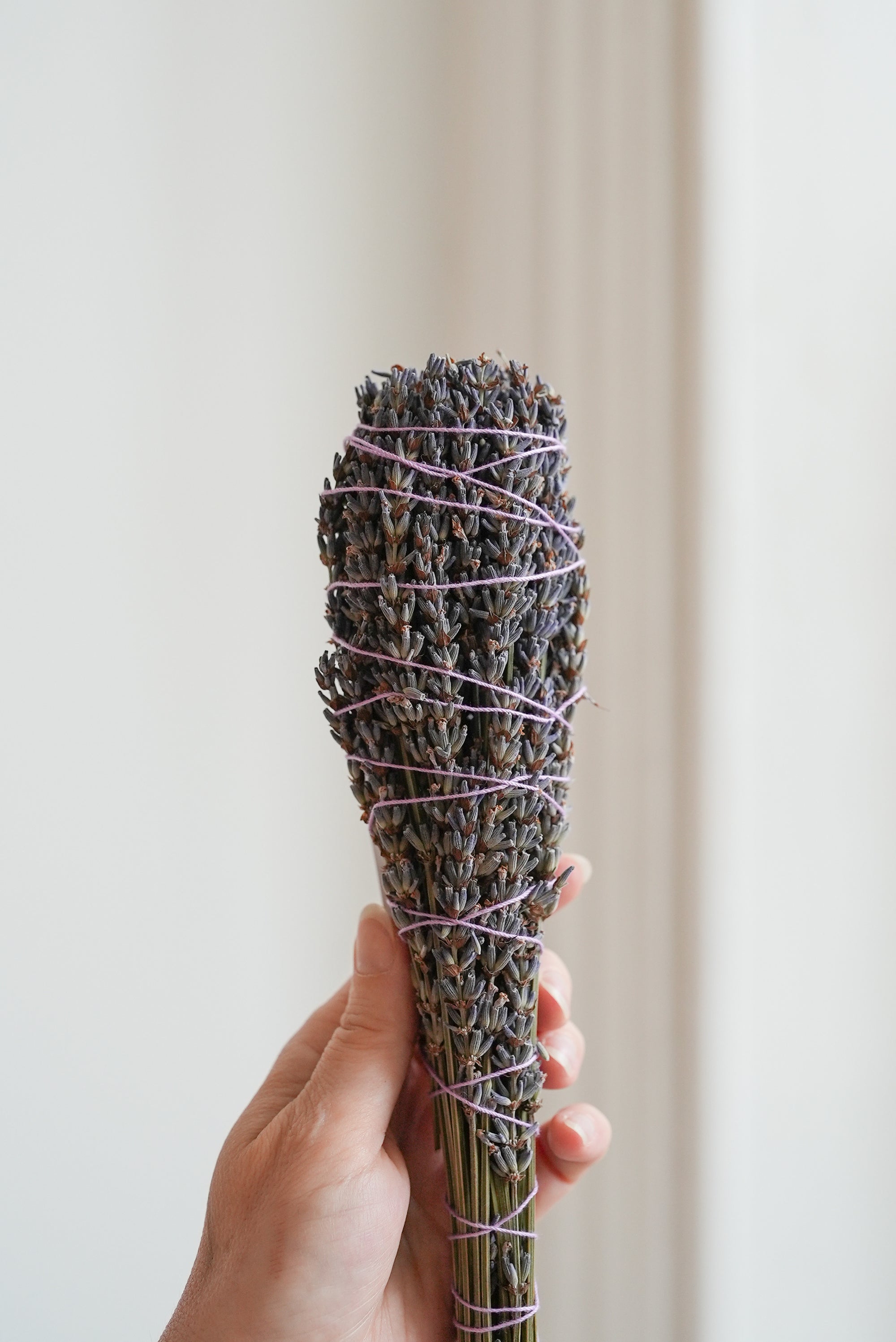 Lavender Elixir Bundle