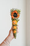 Sunshine Prairie Sage Smudge Bundle