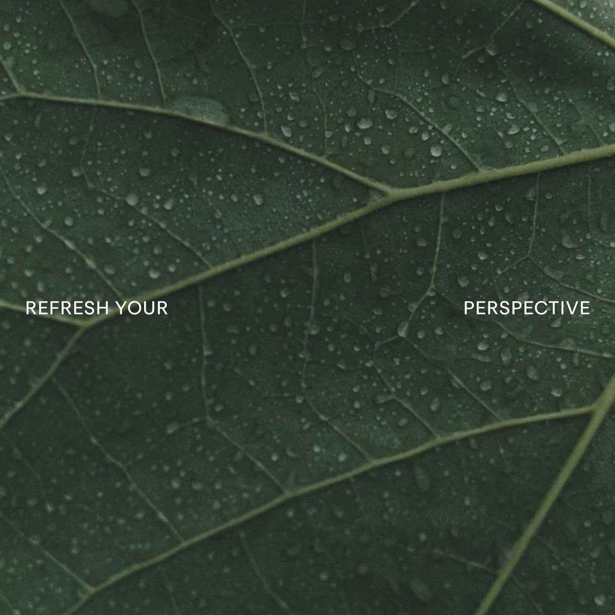 Metamorph Perfume Oil