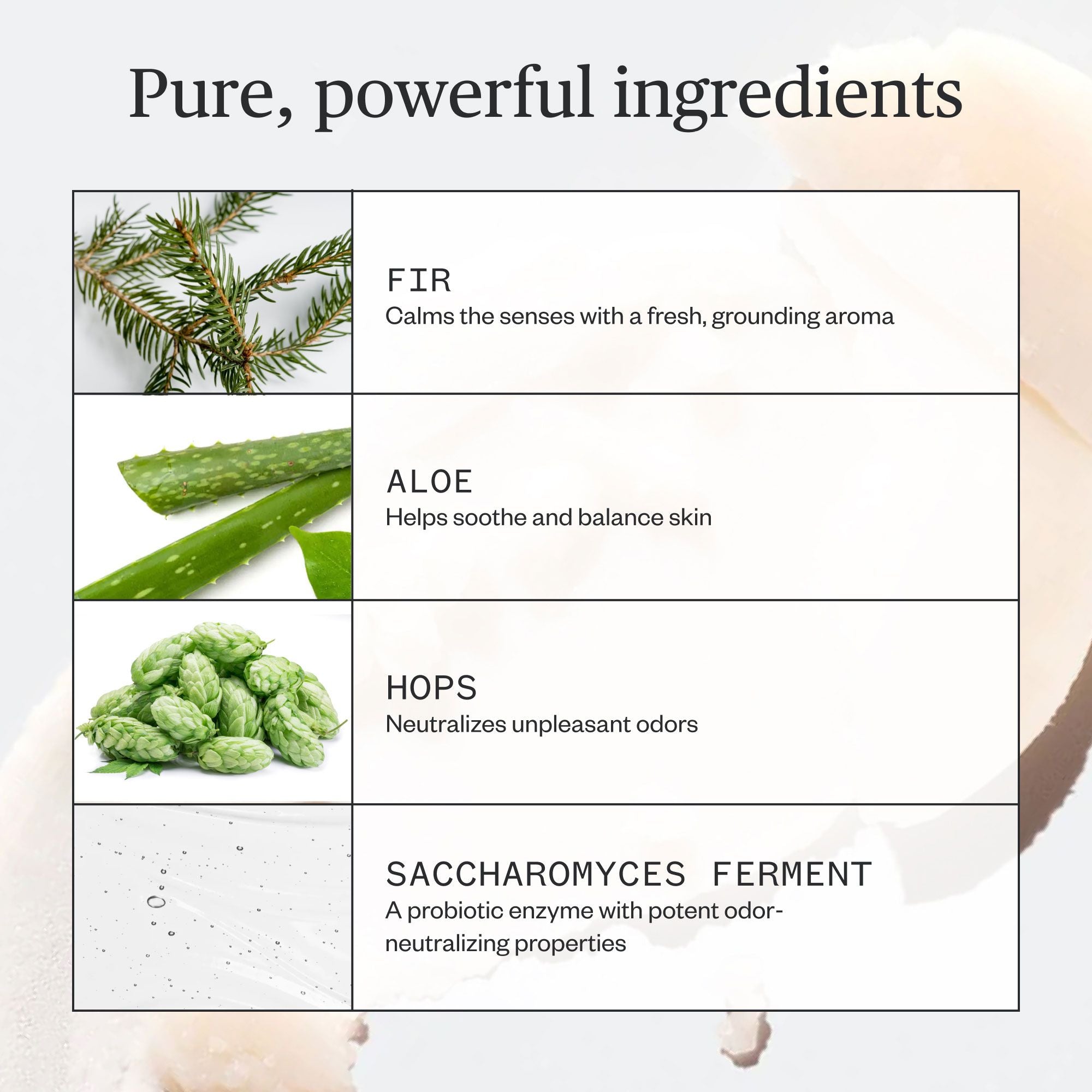 Forest Fix Deodorant