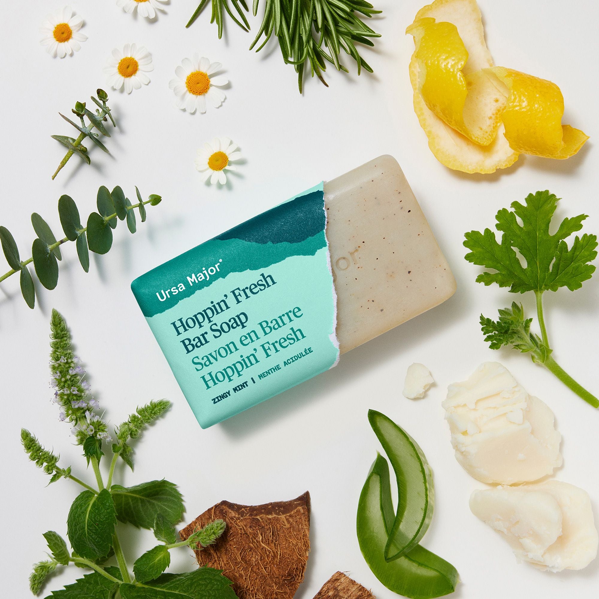 Hoppin’ Fresh Bar Soap