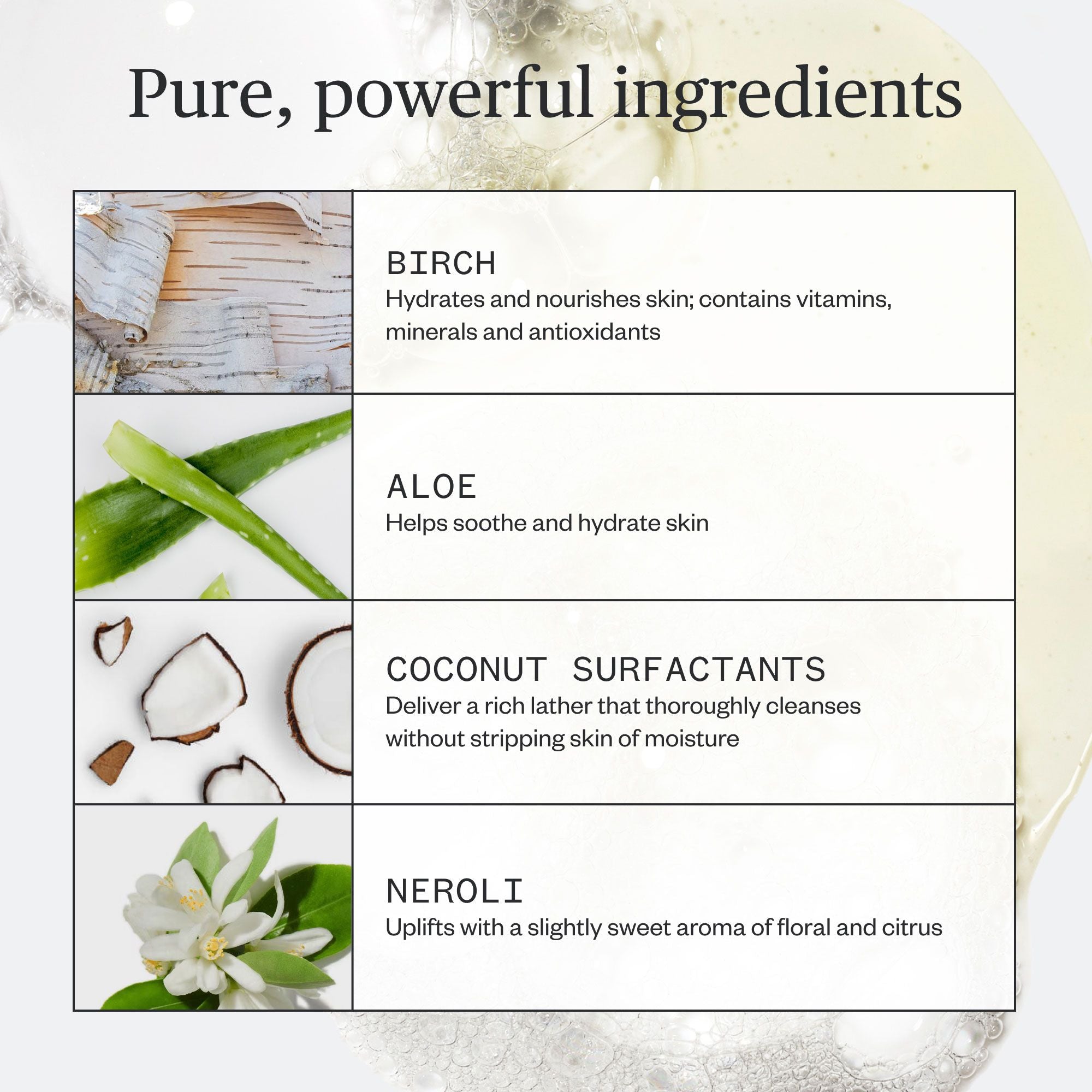 Botanic Buzz Hand Wash