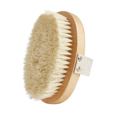 Plant-Based Dry Brush