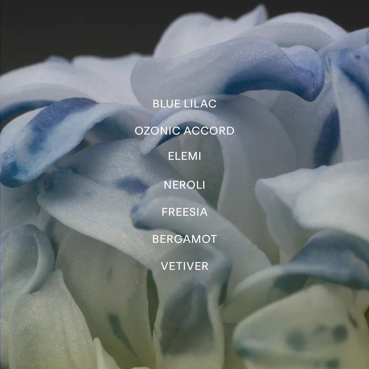 Taos Blue Perfume Oil