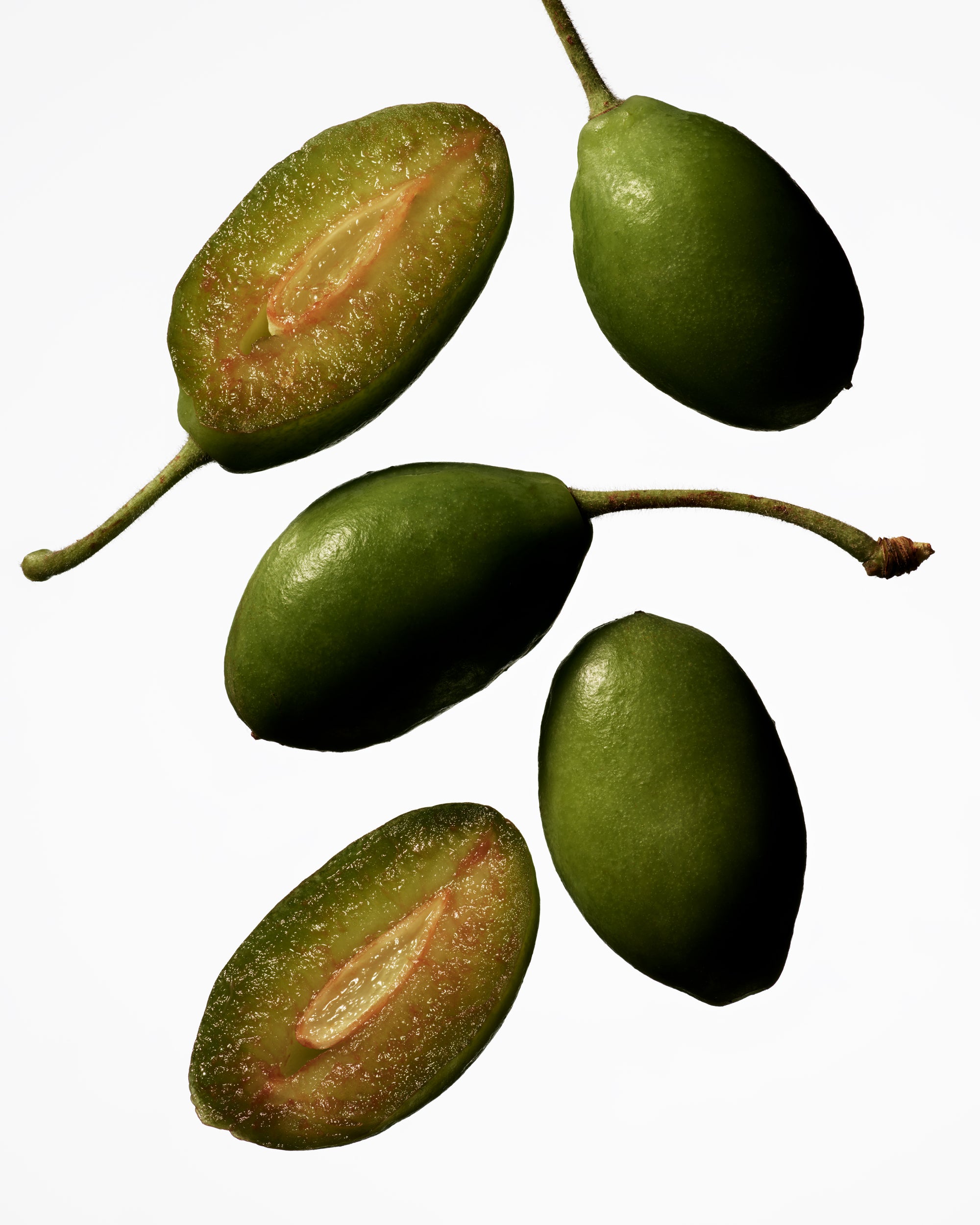 Tinted Beauty Potion