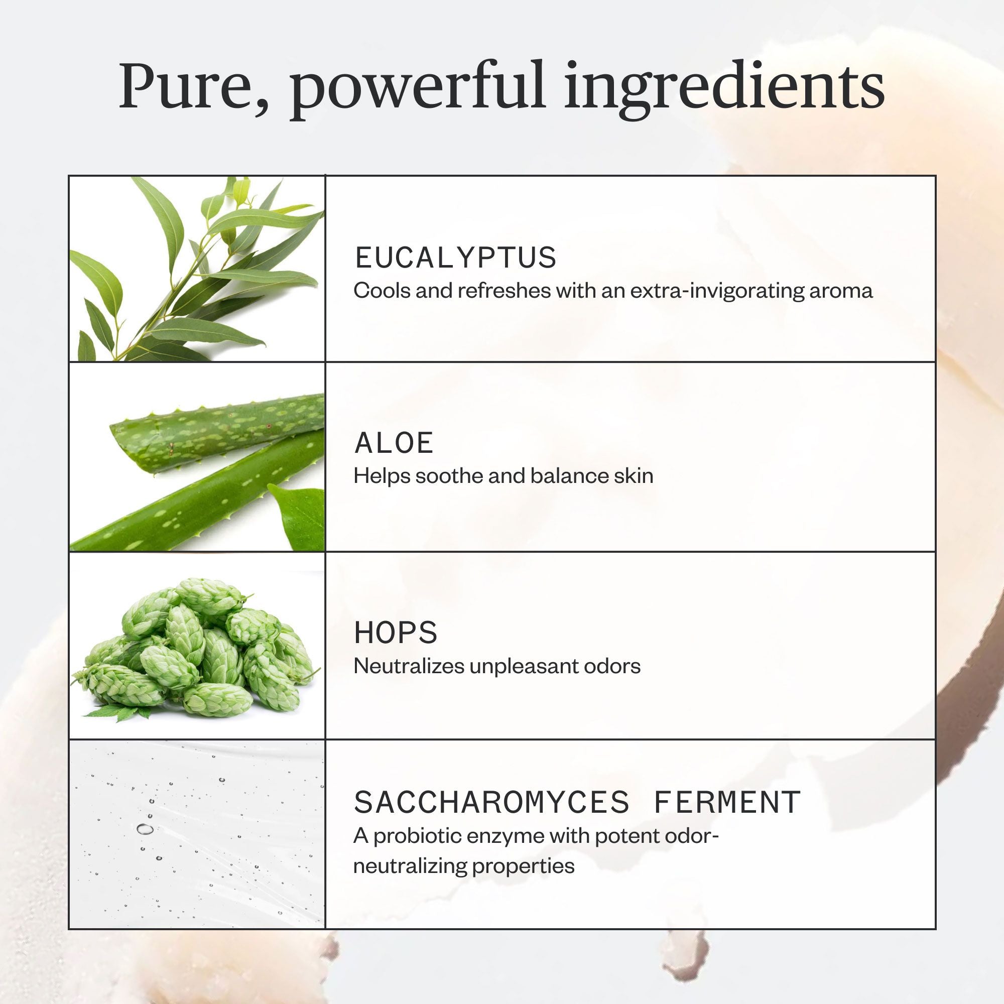 Hoppin Fresh Deodorant