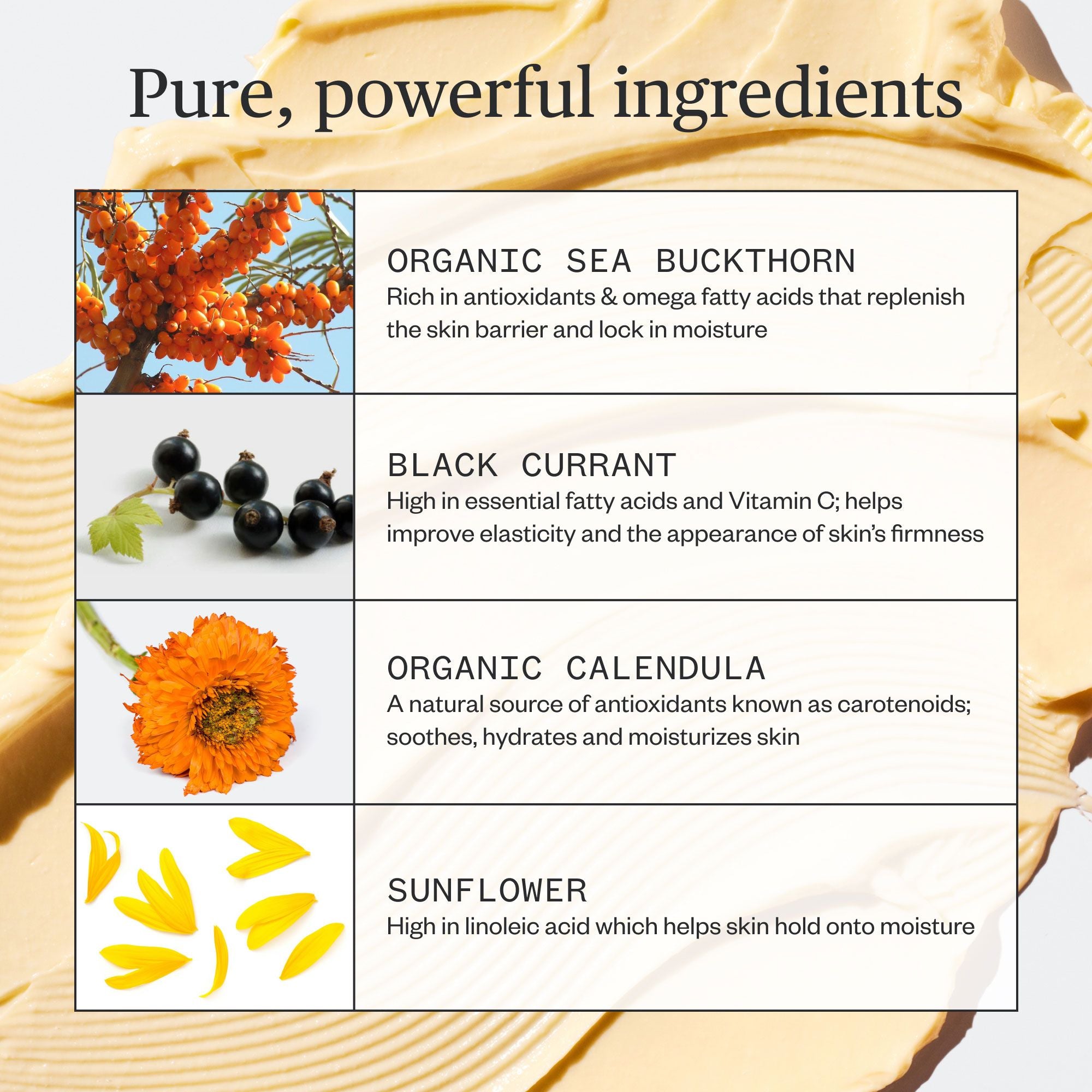 Golden Hour Recovery Cream