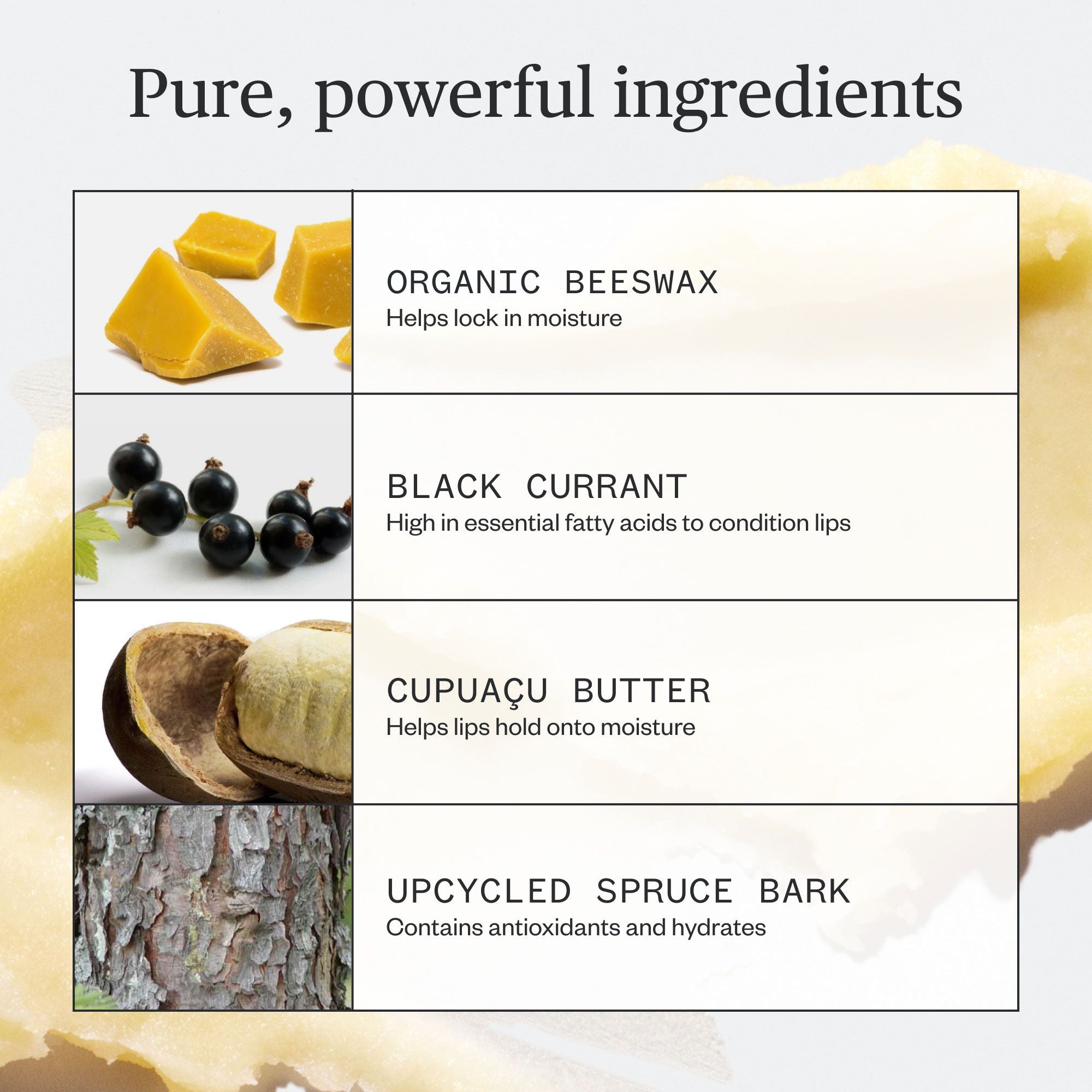 Going Places Lip Balm