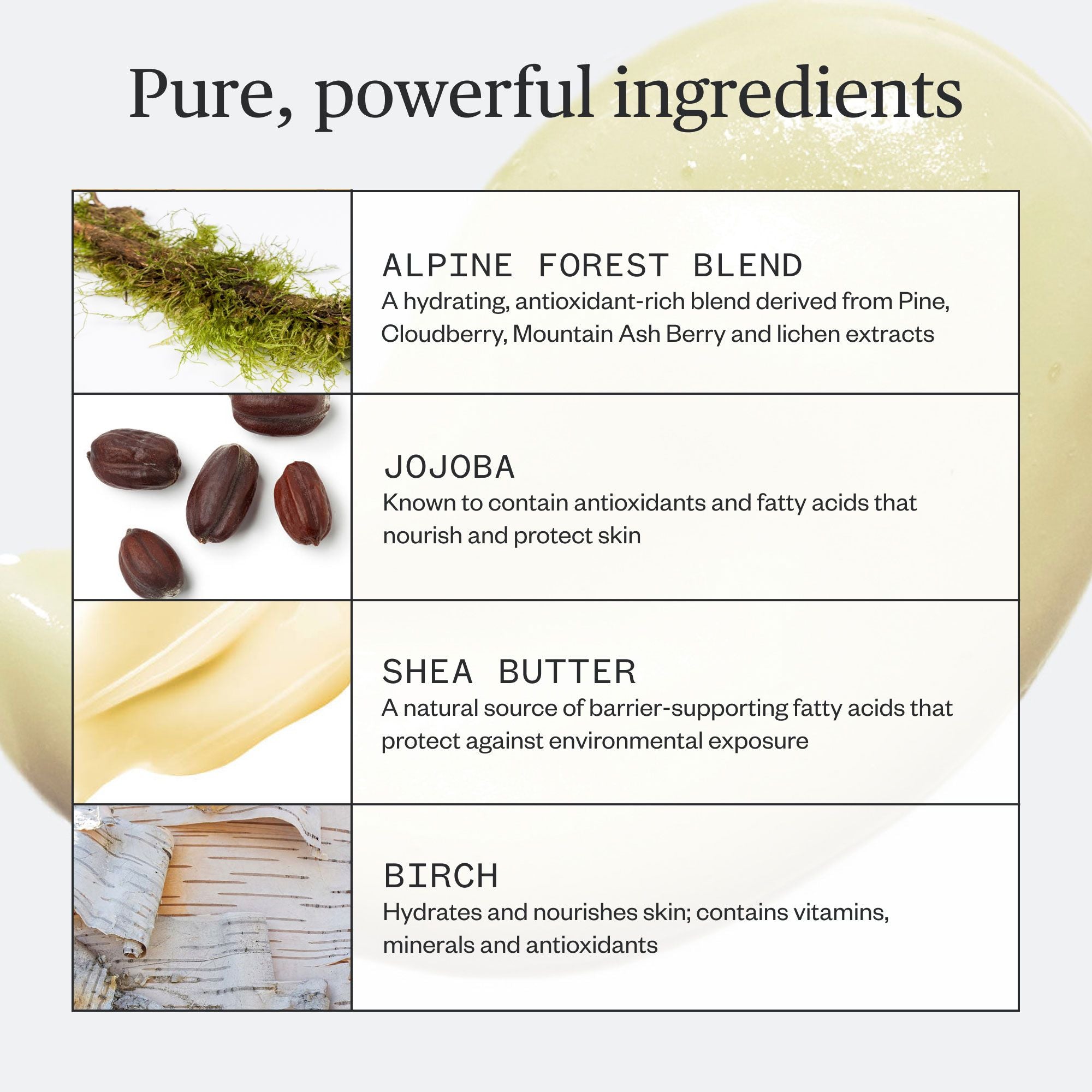 Botanic Buzz Hand Cream