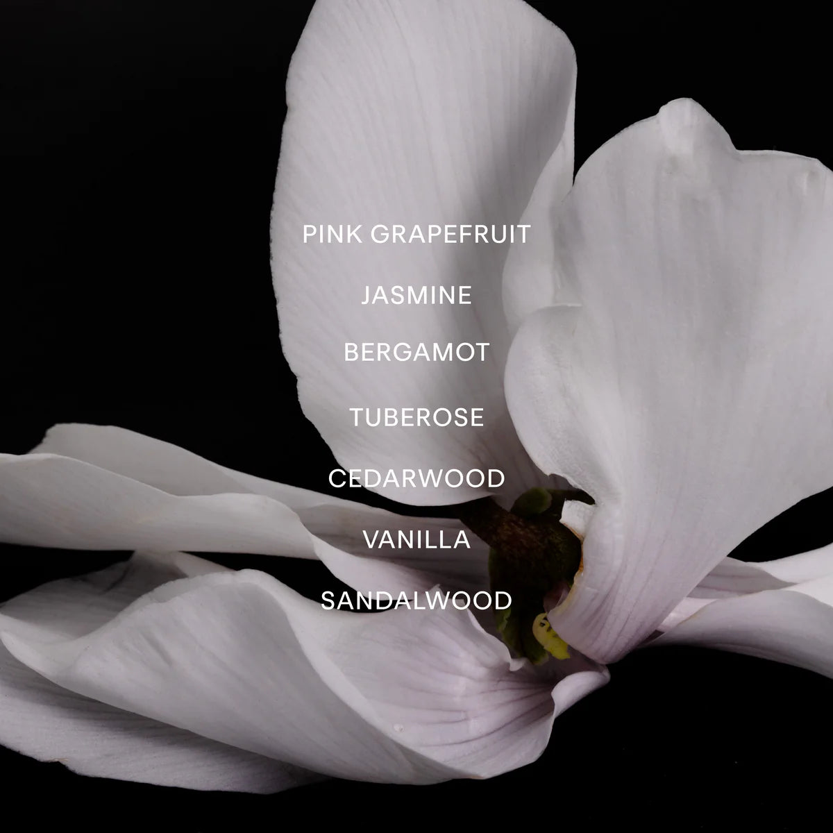 Vesper Bloom Perfume Oil