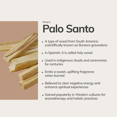 Palo Santo Sticks From Ecuador