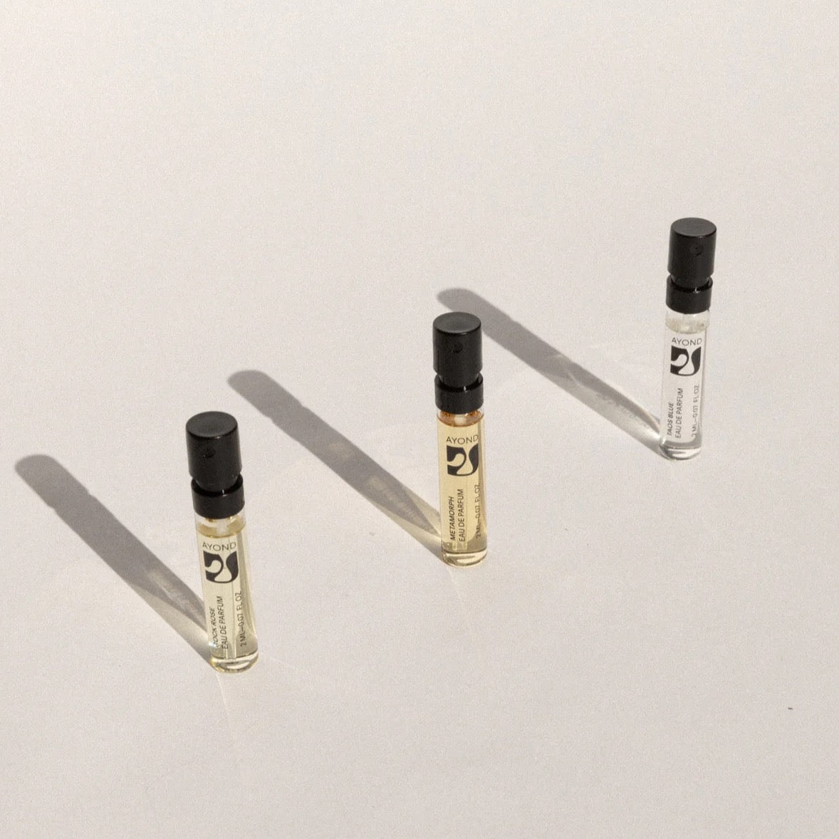 The Desert in Bloom Discovery Set