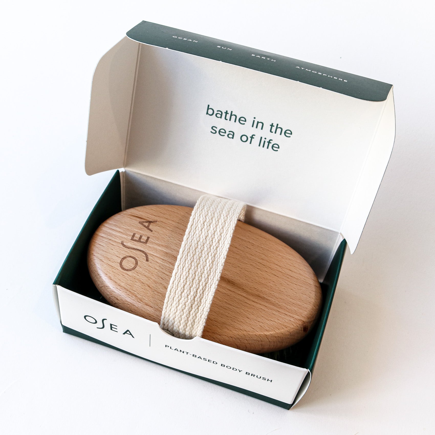 Plant-Based Body Brush I Vegan Dry Brush I Organic Bodycare – OSEA® Malibu